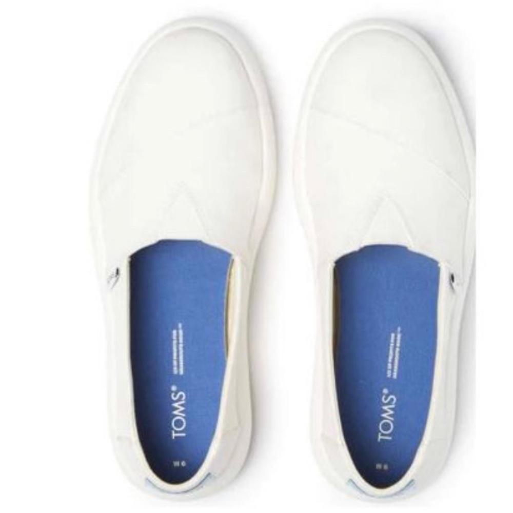 TOMS - Picture 4 of 6